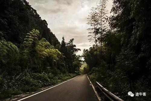 我们有黄荆(图6) 我们有黄荆(图6)