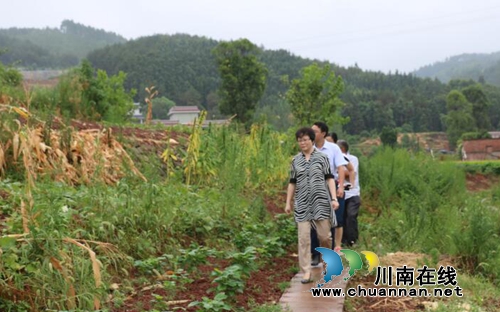 泸县宣传部长陈佳到潮河镇调研河长制工作(图2)