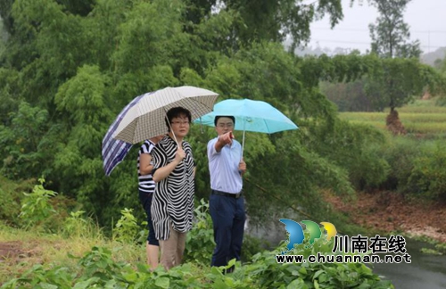 泸县宣传部长陈佳到潮河镇调研河长制工作(图3)