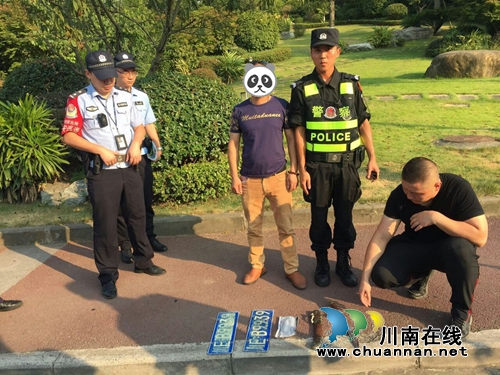 泸县巡防查获管制刀具和车辆套牌(图1)