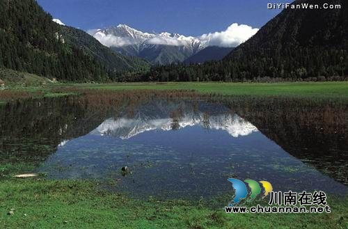 陈宗华：说了不写灾难诗的(图1)