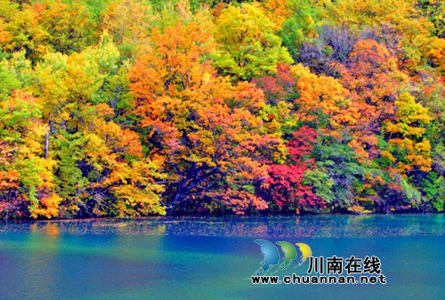 陈宗华：说了不写灾难诗的(图2)