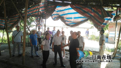 泸州市检察院到泸县立石镇督查禁养区养殖场关闭搬迁工作情况(图1)