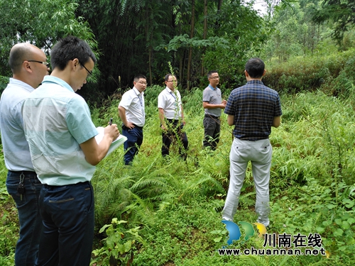 宜宾南溪区区委副书记文卫率队督查汪家镇地质灾害隐患点