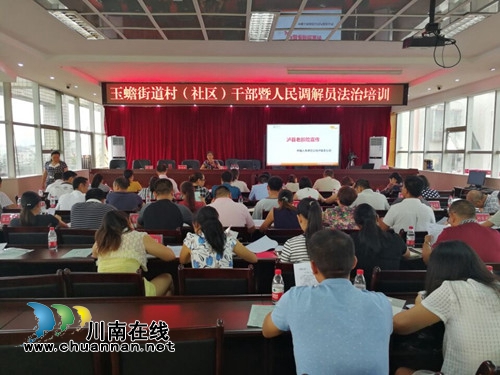 泸县玉蟾街道开展人民调解员法治培训(图1)