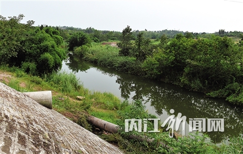 内江实施“六大工程”修复小青龙河水生态系统(图1)