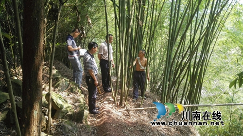 吕刚督导合江县南滩镇防汛减灾和地质灾害防范工作