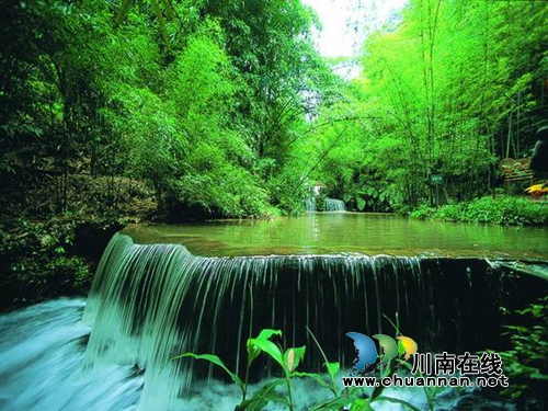 激情夏日！本周五到蜀南竹海尽享啤酒音乐节(图1)