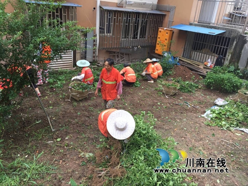 创文攻坚 红星街道突击整治失地农民小区(图2) 创文攻坚 红星街道突击整治失地农民小区(图2)