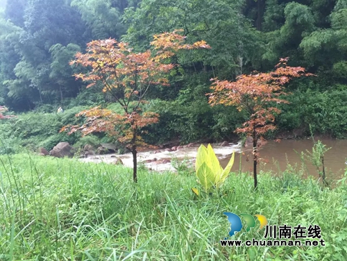 杨雪:隐者最思此山中(名家作品欣赏)(图5) 杨雪:隐者最思此山中(名家作品欣赏)(图5)