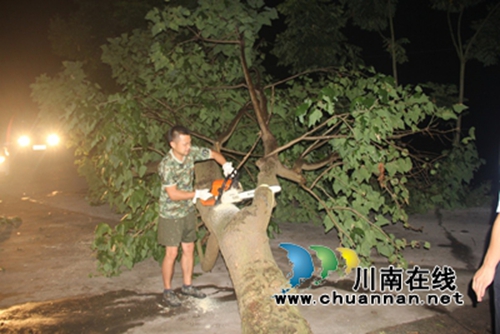 泸县云锦：风吹大树拦断路&nbsp;应急救援疏通途(图2)