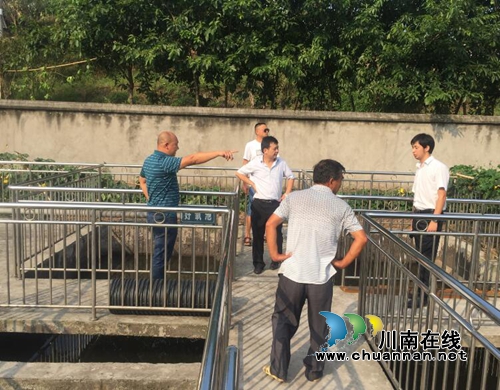 龙马潭区审计局对已审结环保项目整改进行督查(图1)