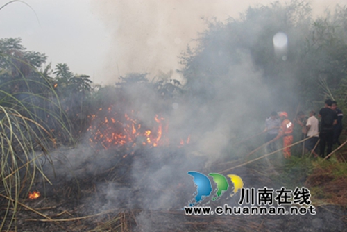 泸县云锦居民焚烧垃圾引发山火&nbsp;警民联手扑灭(图2)