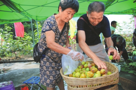内江建设成渝经济区绿色优质农产品基地(图1)