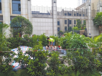 宜宾一小区取缔凌乱垃圾池&nbsp;5天造出绿化带(图1)