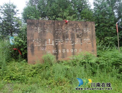 李定林：黄荆意景（美好家园）(图2)