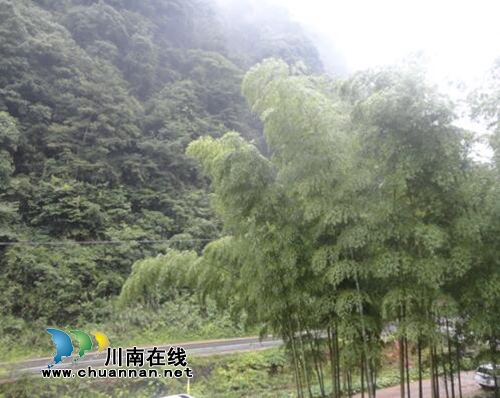 李定林：黄荆意景（美好家园）(图9)