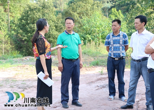 泸县副县长叶仕良到潮河镇督查环保工作(图3)