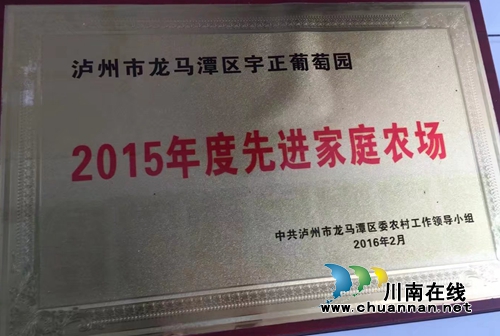 不当厂长当场长 记泸州金龙葡萄园殷大姐(图10) 不当厂长当场长 记泸州金龙葡萄园殷大姐(图10)