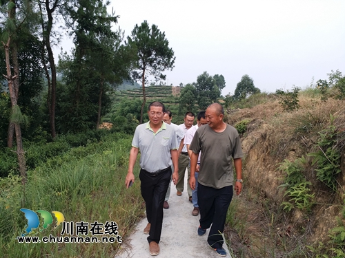 宜宾市南溪区人大常委会主任刘吉斌到黄沙镇调研扶贫产业发展(图2) 宜宾市南溪区人大常委会主任刘吉斌到黄沙镇调研扶贫产业发展(图2)