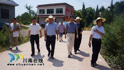 泸县县委书记薛学深到立石镇督查环保工作(图1)