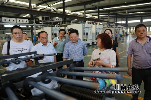 市政协专委会莅临泸州国家高新区视察指导工作(图3)