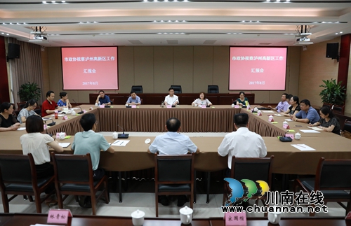 市政协专委会莅临泸州国家高新区视察指导工作(图5)