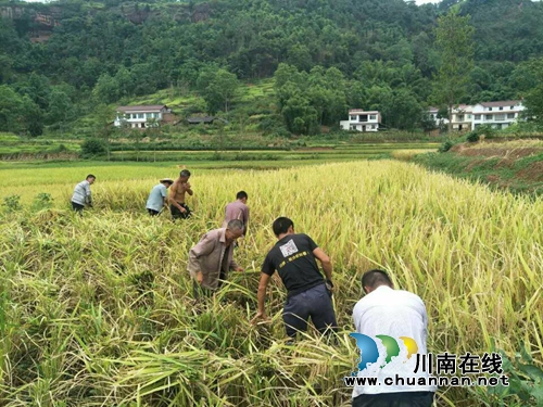 宜宾汪家镇助耕服务队助农脱贫增收(图1) 宜宾汪家镇助耕服务队助农脱贫增收(图1)