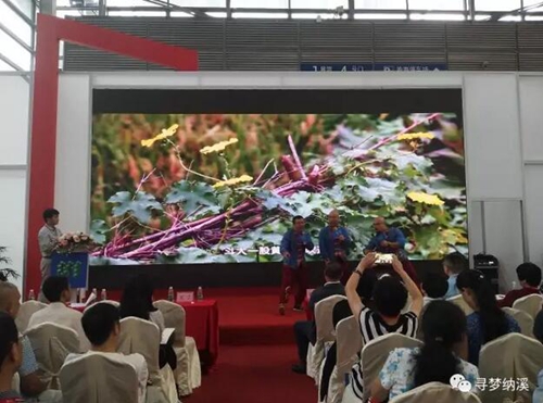 香醇特产秀美民俗 纳溪惊艳亮相深圳乡博会(图15) 香醇特产秀美民俗 纳溪惊艳亮相深圳乡博会(图15)