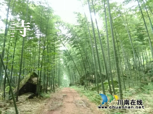 葛水平: 牵挂纳溪(图1) 葛水平: 牵挂纳溪(图1)