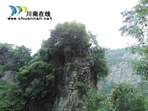 葛水平: 牵挂纳溪(图3) 葛水平: 牵挂纳溪(图3)