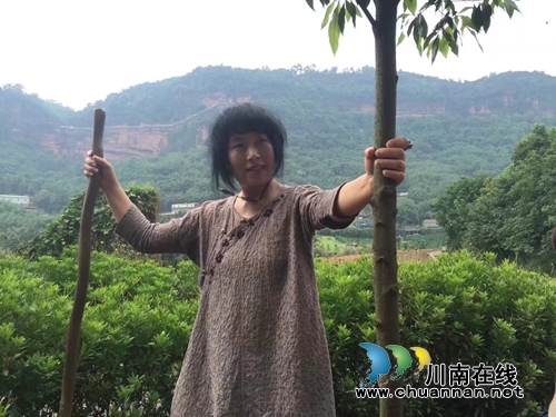 葛水平: 牵挂纳溪(图4) 葛水平: 牵挂纳溪(图4)
