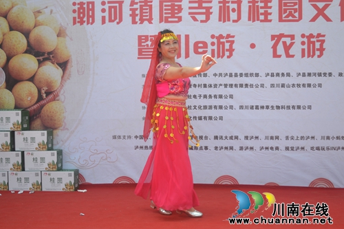 桂圆为媒精准扶贫 泸县潮河镇举办桂圆文化节(图4) 桂圆为媒精准扶贫 泸县潮河镇举办桂圆文化节(图4)