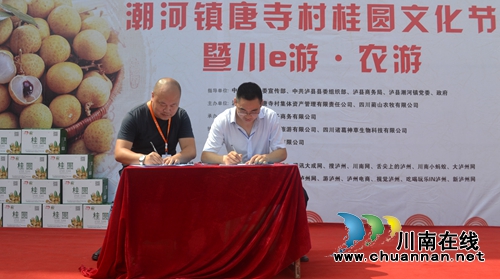 桂圆为媒精准扶贫 泸县潮河镇举办桂圆文化节(图7) 桂圆为媒精准扶贫 泸县潮河镇举办桂圆文化节(图7)