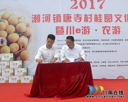 桂圆为媒精准扶贫 泸县潮河镇举办桂圆文化节(图8) 桂圆为媒精准扶贫 泸县潮河镇举办桂圆文化节(图8)
