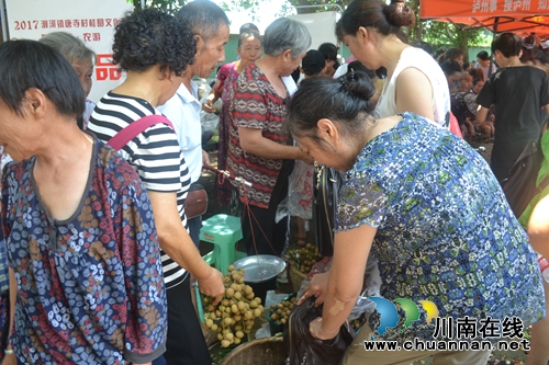 桂圆为媒精准扶贫 泸县潮河镇举办桂圆文化节(图12) 桂圆为媒精准扶贫 泸县潮河镇举办桂圆文化节(图12)