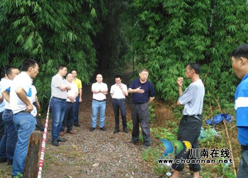 省委第四督导组督查合江县地质灾害和防汛安全隐患排查防治工作(图1) 省委第四督导组督查合江县地质灾害和防汛安全隐患排查防治工作(图1)