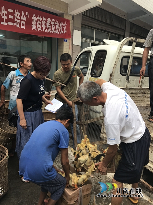 宜宾汪家镇开展建卡贫困户“两供一回购”活动(图1) 宜宾汪家镇开展建卡贫困户“两供一回购”活动(图1)