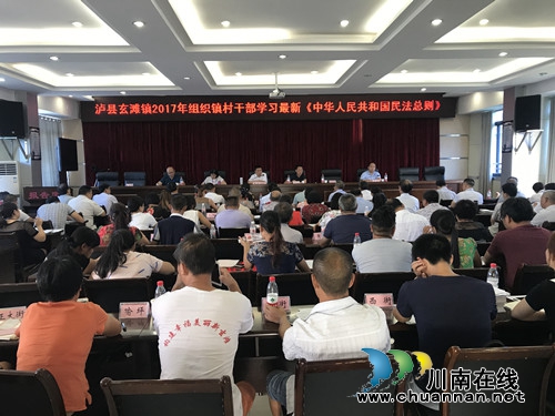 泸县玄滩镇组织镇、村干部学习《中华人民共和国民法总则》(图1)