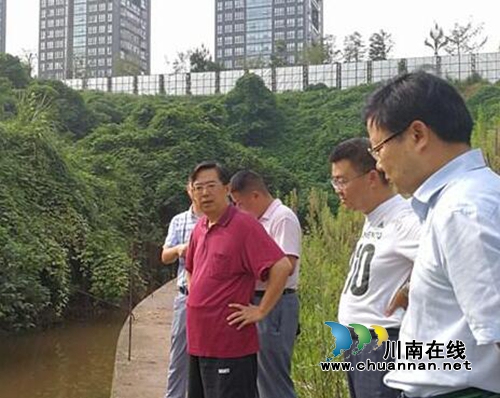 龚进贵带队督导内江市东兴区环境问题整改(图1)
