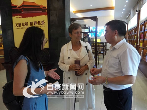奥地利国家电视台聚焦宜宾茶文化(图1) 奥地利国家电视台聚焦宜宾茶文化(图1)