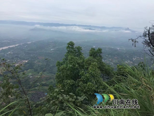 龙启权:绿色氧吧玉兰山(图1) 龙启权:绿色氧吧玉兰山(图1)
