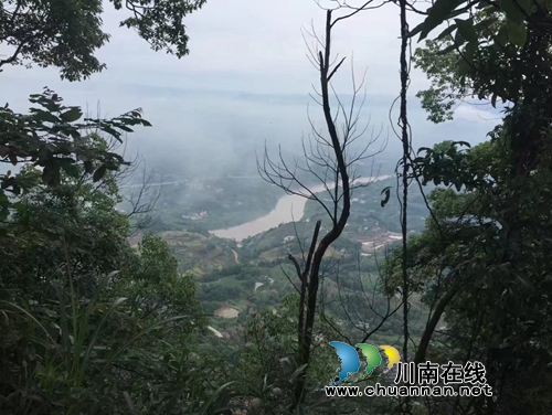 龙启权:绿色氧吧玉兰山(图4) 龙启权:绿色氧吧玉兰山(图4)