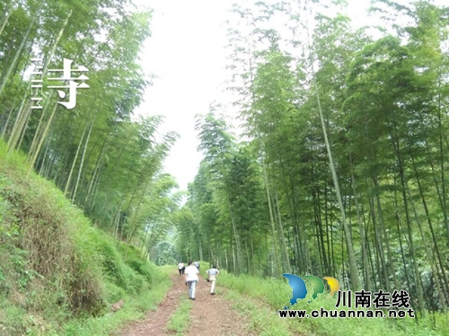 龙启权:绿色氧吧玉兰山(图6) 龙启权:绿色氧吧玉兰山(图6)