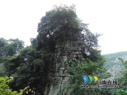 龙启权:绿色氧吧玉兰山(图7) 龙启权:绿色氧吧玉兰山(图7)