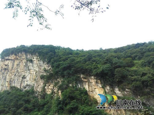 龙启权:绿色氧吧玉兰山(图8) 龙启权:绿色氧吧玉兰山(图8)