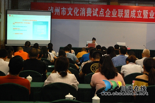 泸州市开展文化消费试点企业联盟成立大会(图5)