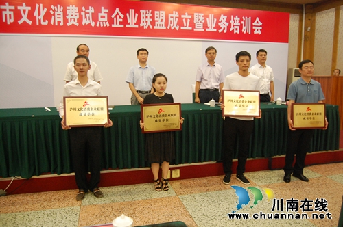 泸州市开展文化消费试点企业联盟成立大会(图6)