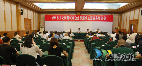泸州市开展文化消费试点企业联盟成立大会(图1)