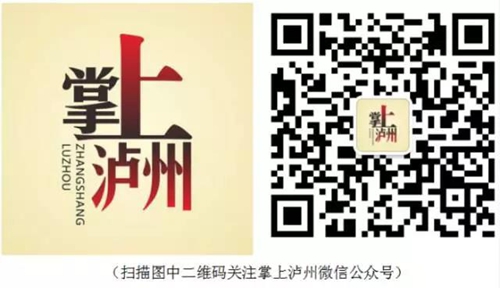泸州市文化消费试点企业联盟成立(图6)